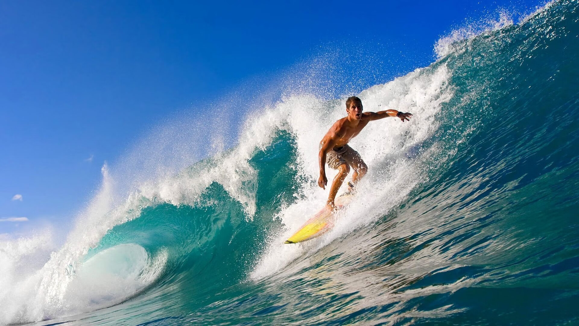 Ning意外战胜老鹰，刷新纪录引爆全场！全场沸腾不已(足球场上尴尬老二)